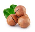 Australian not peeled macadamia nuts with two green leaves