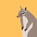 Australian numbat vector illustration flat style profile