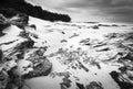 Australian Ocean Landscape Black and White Royalty Free Stock Photo