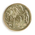 Australian one dollar coin, with kangaroos, in close-up with soft shadow