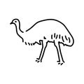 Australian ostrich Emu color line illustration. Animals of Australia