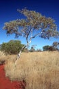 Australian Outback