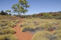 Australian outback