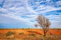 Australian outback landscape