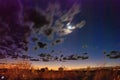 Australian Outback at night with moon and stars Royalty Free Stock Photo