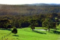 Australian paddock