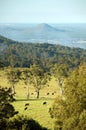 Australian pastures Royalty Free Stock Photo