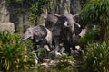 Australian Pelican Birds with the elephant statues in Ragunan Zoo, South Jakarta of Indonesia