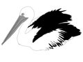 Black and white pelican illustration