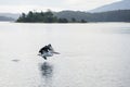 Large waterbird flying over the water