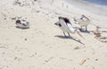 Australian Pelicans Royalty Free Stock Photo