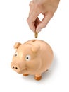 Australian Piggy Bank Dollar Money