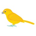 Australian plainhead, canary Vector Icon Royalty Free Stock Photo