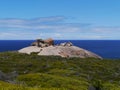 The Australian remarkable rock