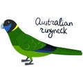 Australian ringneck parakeet in cartoon style on white background. Barnardius zonarius