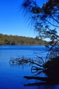 Australian River Royalty Free Stock Photo