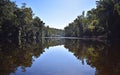 Australian River Royalty Free Stock Photo