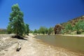 Australian river view Royalty Free Stock Photo