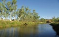 Australian river view Royalty Free Stock Photo