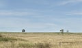 Australian rural landscape horizon with sky and wispy clouds