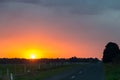 Australian rural road near Ballarat at sunset Royalty Free Stock Photo