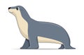 Australian sealion animal standing on a white background