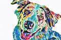 Australian Shepard Abstract Rainbow Painting Royalty Free Stock Photo