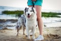 Australian Shepherd, Aussie dog for a walk with the owner against the blue sea summer