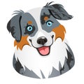 Australian shepherd dog face portrait cartoon illustration. Cut Royalty Free Stock Photo