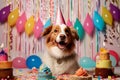 Australian shepherd dog with a hat and birthday cake and candles. Royalty Free Stock Photo