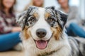 Australian Shepherd dog with a joyful expression, sitting in a group therapy session, surrounded by participants Royalty Free Stock Photo
