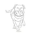 Australian shepherd run vector in black line Royalty Free Stock Photo