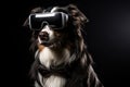 Australian Shepherd In Suit And Virtual Reality On Black Background