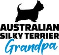 Australian Silky Terrier Grandpa with silhouette Royalty Free Stock Photo