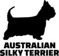Australian Silky Terrier silhouette with name Royalty Free Stock Photo