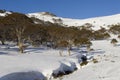 Australian snowscape Royalty Free Stock Photo