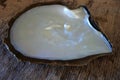 Australian South Sea pearl inside an oyster
