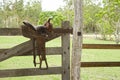 Old Australian stock saddle on gate Royalty Free Stock Photo