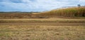 Australian Sugarcane Farm Landscape Royalty Free Stock Photo