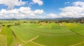 Australian Sugarcane Fields and Landscape Royalty Free Stock Photo