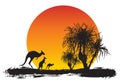 Australian Sunset with Kangaroos and Pandanus Trees Royalty Free Stock Photo