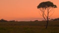 Australian Sunset Landscape Establishing Shot