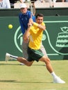 Australian Tennis player Bernard Tomic during Davis Cup singles against Jack Sock