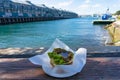 Australian traditional meat pie with Woolloomooloo bay on the ba