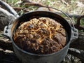 Australian traditional outback damper