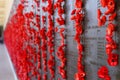 Australian War Memorial Wall of Honour Royalty Free Stock Photo
