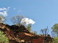 The Australian Watarrka National Park Royalty Free Stock Photo