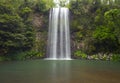 Australian waterfall Millaa Millaa Falls, North Queensland, Australia Royalty Free Stock Photo