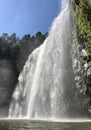 Australian waterfall in World Heritage Gondwana rainforest Royalty Free Stock Photo