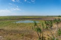 Australian wetlands landscape with small billabong, lake Royalty Free Stock Photo